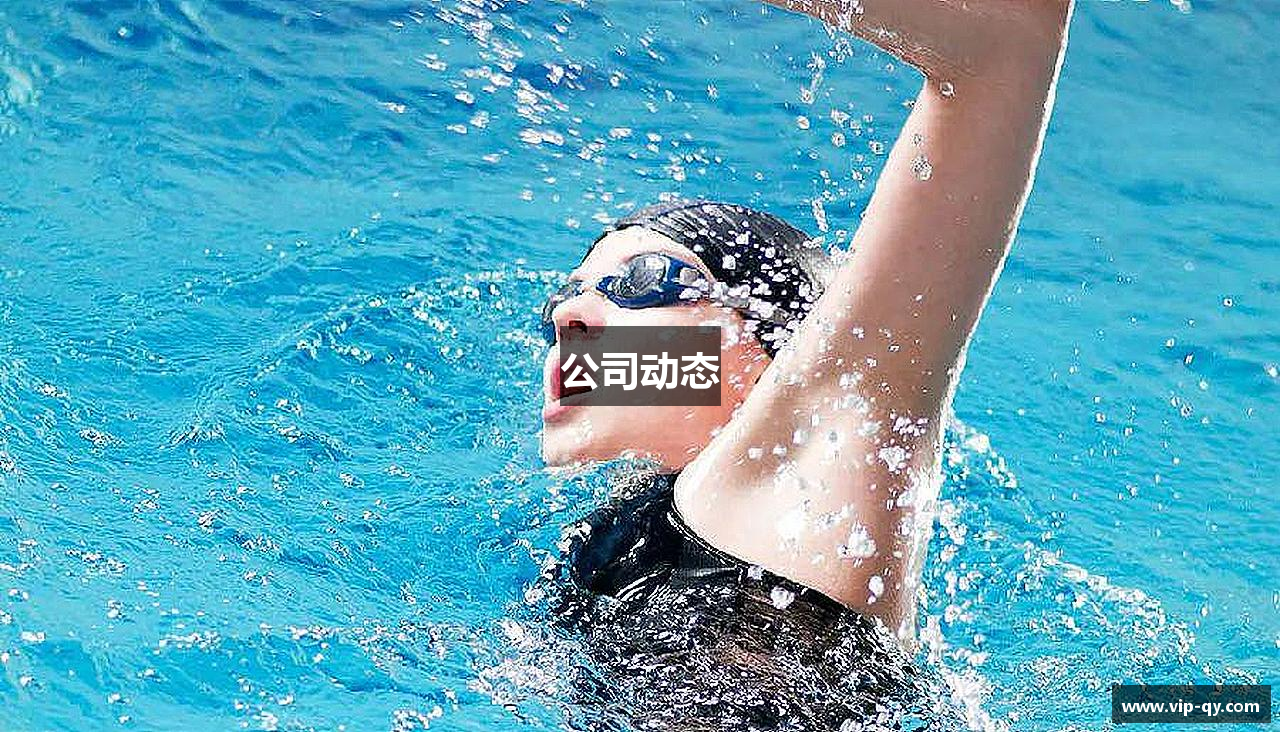 公司动态