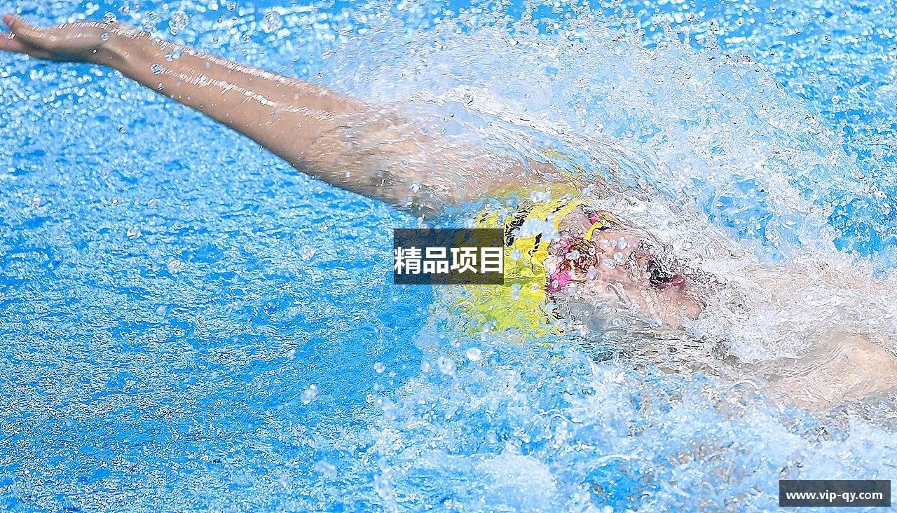 精品项目